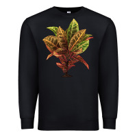 Black Croton Premium Sweatshirt - LillyAllenDesigns