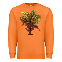 Carrot Croton Premium Sweatshirt - LillyAllenDesigns
