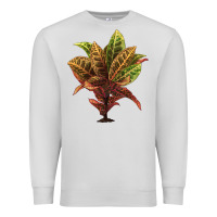 Dove Grey Croton Premium Sweatshirt - LillyAllenDesigns
