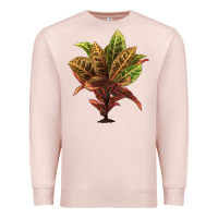 Pale Pink Croton Premium Sweatshirt - LillyAllenDesigns