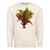 Sandshell Croton Premium Sweatshirt - LillyAllenDesigns