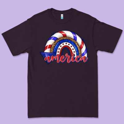Premium Tee America rainbow