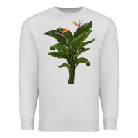 Dove Grey the bird of paradise Premium Sweatshirt - LillyAllenDesigns
