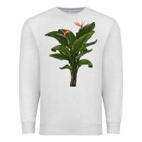 Oatmeal Heather the bird of paradise Premium Sweatshirt - LillyAllenDesigns