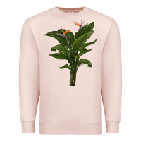 Pale Pink the bird of paradise Premium Sweatshirt - LillyAllenDesigns
