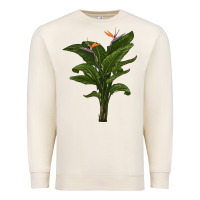 Sandshell the bird of paradise Premium Sweatshirt - LillyAllenDesigns