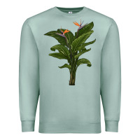 Seafoam the bird of paradise Premium Sweatshirt - LillyAllenDesigns