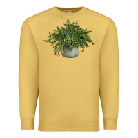 Antique Gold Dwarf Pomegranate Tree Illustrations Premium Sweatshirt - LillyAllenDesigns