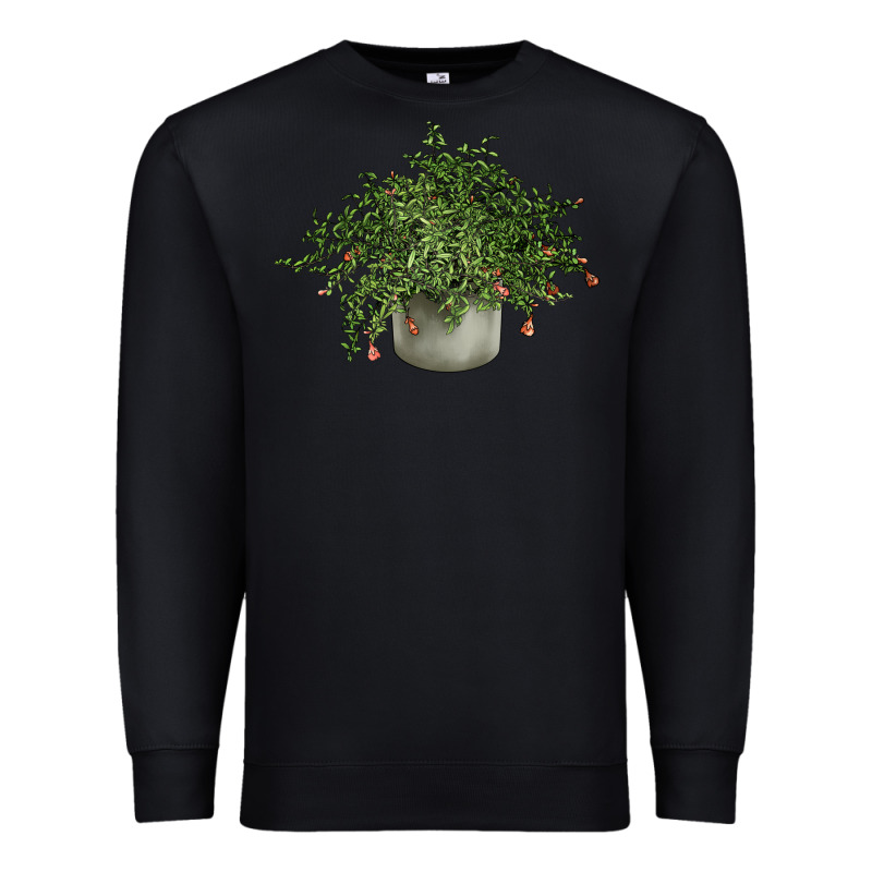 Dwarf Pomegranate Tree Illustrations Premium Sweatshirt by LillyAllenDesigns | Teevron