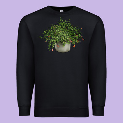 Dwarf Pomegranate Tree Illustrations Premium Sweatshirt Designed By Lillyallendesigns
