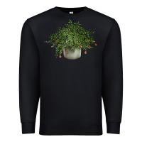 Black Dwarf Pomegranate Tree Illustrations Premium Sweatshirt - LillyAllenDesigns