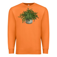 Carrot Dwarf Pomegranate Tree Illustrations Premium Sweatshirt - LillyAllenDesigns