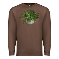 Chestnut Dwarf Pomegranate Tree Illustrations Premium Sweatshirt - LillyAllenDesigns