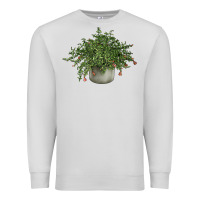Dove Grey Dwarf Pomegranate Tree Illustrations Premium Sweatshirt - LillyAllenDesigns