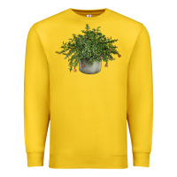 Lemon Dwarf Pomegranate Tree Illustrations Premium Sweatshirt - LillyAllenDesigns