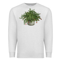Oatmeal Heather Dwarf Pomegranate Tree Illustrations Premium Sweatshirt - LillyAllenDesigns