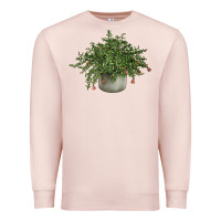 Pale Pink Dwarf Pomegranate Tree Illustrations Premium Sweatshirt - LillyAllenDesigns