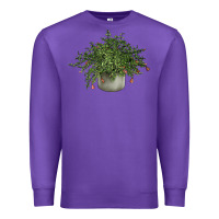 Purple Dwarf Pomegranate Tree Illustrations Premium Sweatshirt - LillyAllenDesigns