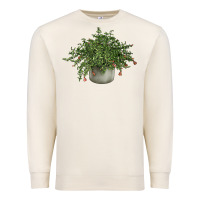 Sandshell Dwarf Pomegranate Tree Illustrations Premium Sweatshirt - LillyAllenDesigns