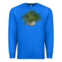 True Royal Dwarf Pomegranate Tree Illustrations Premium Sweatshirt - LillyAllenDesigns