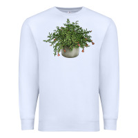 White Dwarf Pomegranate Tree Illustrations Premium Sweatshirt - LillyAllenDesigns