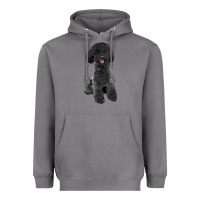 Storm black poodles dog Heavyweight Hoodie - LillyAllenDesigns