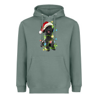 Sage christmas black poodles dog Heavyweight Hoodie - LillyAllenDesigns
