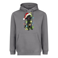 Storm christmas black poodles dog Heavyweight Hoodie - LillyAllenDesigns