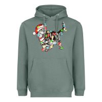 Sage christmas american shorthair cat Heavyweight Hoodie - LillyAllenDesigns