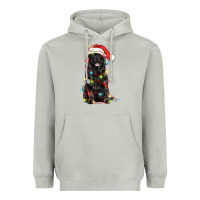 Moon Dust christmas newfoundland dog Heavyweight Hoodie - LillyAllenDesigns