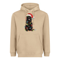 Mushroom christmas newfoundland dog Heavyweight Hoodie - LillyAllenDesigns