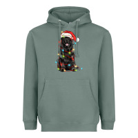 Sage christmas newfoundland dog Heavyweight Hoodie - LillyAllenDesigns