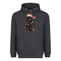 Smoke christmas newfoundland dog Heavyweight Hoodie - LillyAllenDesigns