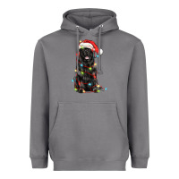 Storm christmas newfoundland dog Heavyweight Hoodie - LillyAllenDesigns