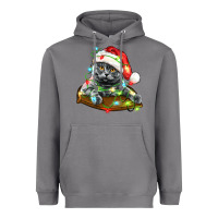 Storm christmas scottish fold cat Heavyweight Hoodie - LillyAllenDesigns