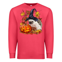 Cardinal Halloween Hedgehog Premium Sweatshirt - LillyAllenDesigns