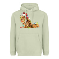 Matcha christmas persian cat Heavyweight Hoodie - LillyAllenDesigns