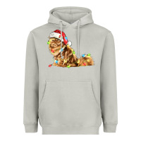 Moon Dust christmas persian cat Heavyweight Hoodie - LillyAllenDesigns