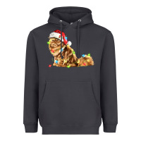 Smoke christmas persian cat Heavyweight Hoodie - LillyAllenDesigns
