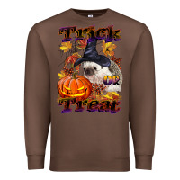 Chestnut Halloween Hedgehog Trick Or Treat Premium Sweatshirt - LillyAllenDesigns