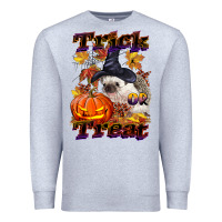 Heather Grey Halloween Hedgehog Trick Or Treat Premium Sweatshirt - LillyAllenDesigns