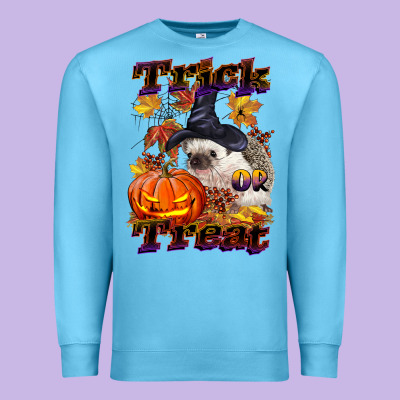 Halloween Hedgehog Trick Or Treat Premium Sweatshirt Designed By Lillyallendesigns