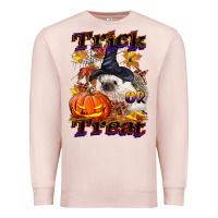 Pale Pink Halloween Hedgehog Trick Or Treat Premium Sweatshirt - LillyAllenDesigns