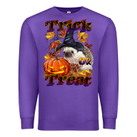 Purple Halloween Hedgehog Trick Or Treat Premium Sweatshirt - LillyAllenDesigns