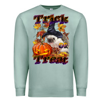 Seafoam Halloween Hedgehog Trick Or Treat Premium Sweatshirt - LillyAllenDesigns