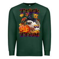 Sports Green Halloween Hedgehog Trick Or Treat Premium Sweatshirt - LillyAllenDesigns