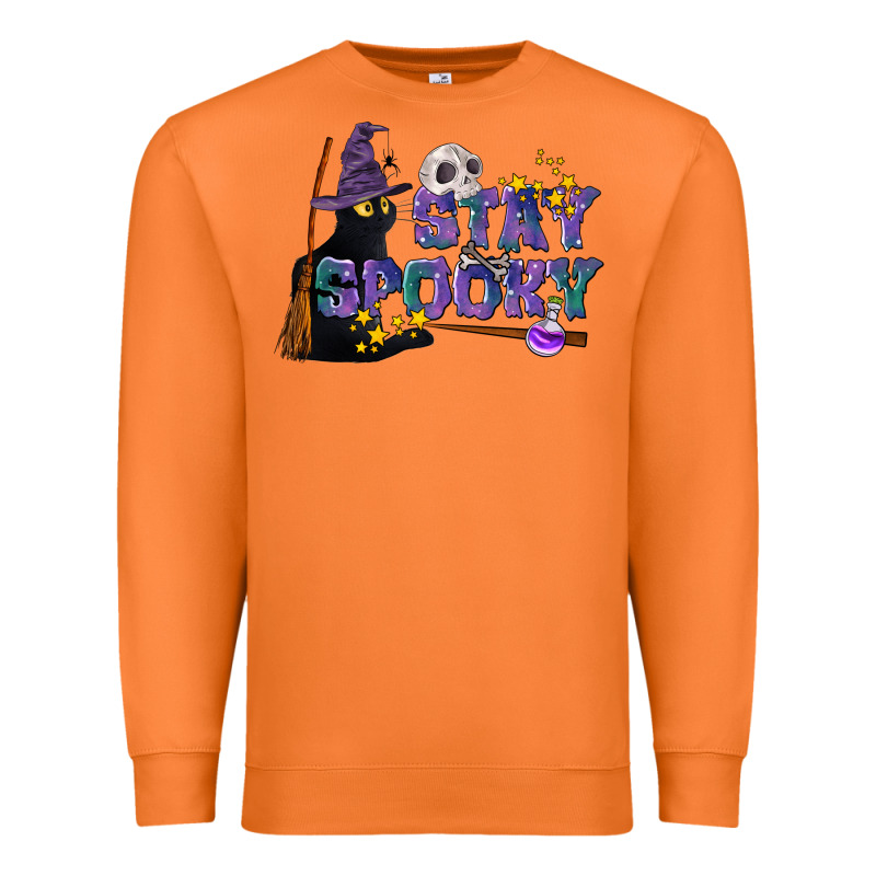 Stay Spooky With Black Cat Premium Sweatshirt by LillyAllenDesigns | Teevron