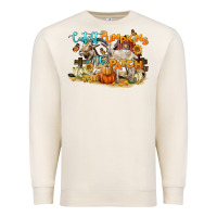 Sandshell cutest pumpkins in the patch Premium Sweatshirt - LillyAllenDesigns