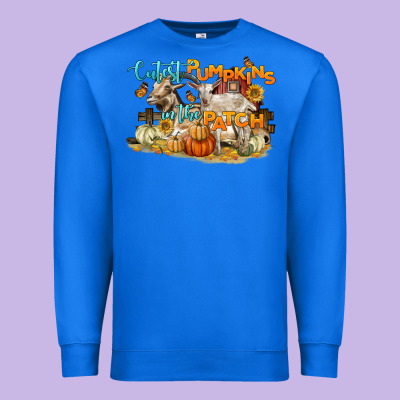 Cutest Pumpkins In The Patch Premium Sweatshirt Designed By Lillyallendesigns