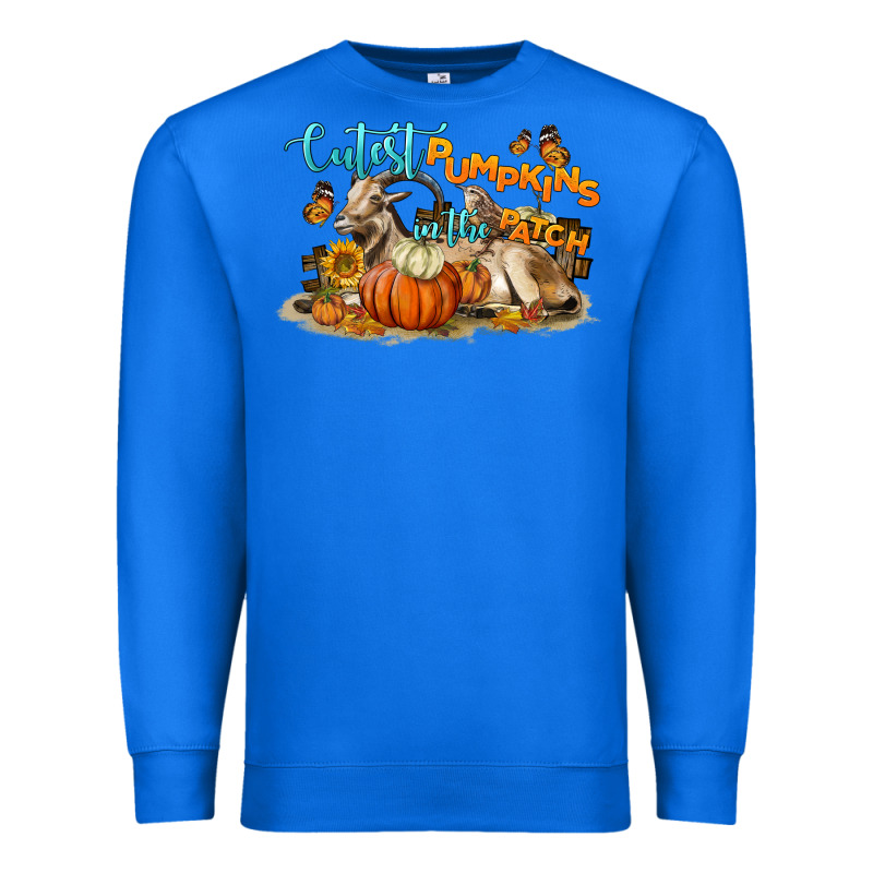 Cutest Pumpkin In The Patch Premium Sweatshirt by LillyAllenDesigns | Teevron